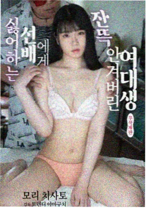 《沉默的岛屿》全本TXT下载封面
